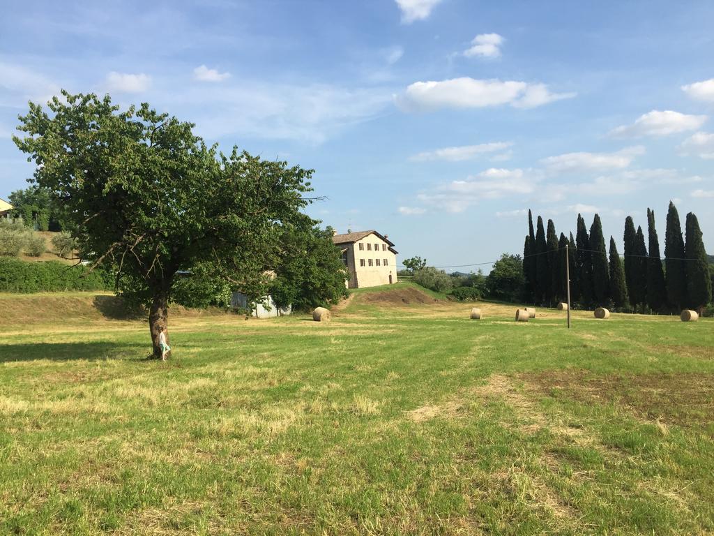 Casale Al Solivo B&B Castion Veronese Zewnętrze zdjęcie
